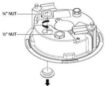 3/4" NUT 1/2" NUT
