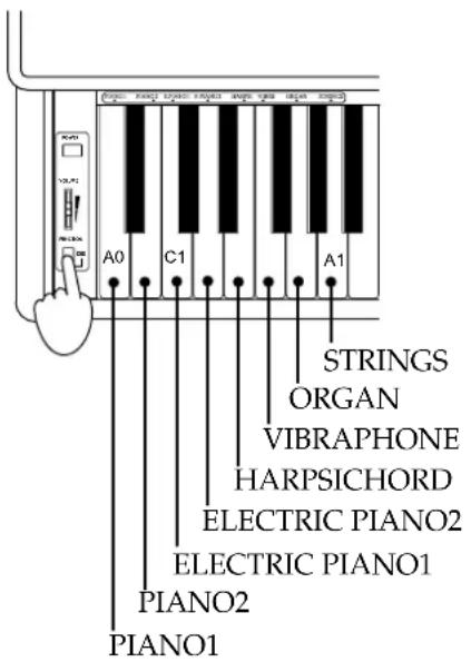 KORG Concert C-1500 - Selecting and playing different sounds - 1