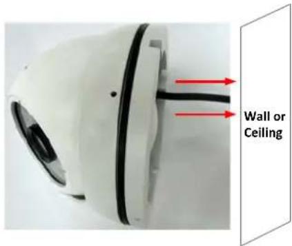 Wall or Ceiling