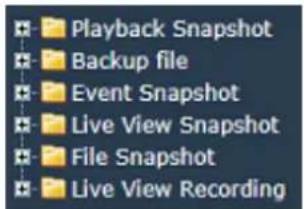Playback Snapshot Backup file Event Snapshot Live View Snapshot File Snapshot Live View Recording