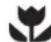 Zanussi-Electrolux ZRT155W - At the end of the Appliance Life - 1
