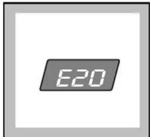 E20