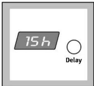 15 h Delay