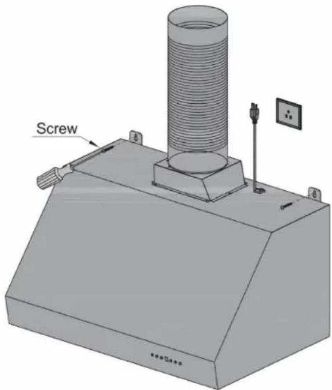 Screw