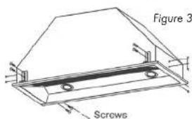 Figure 3 Screws