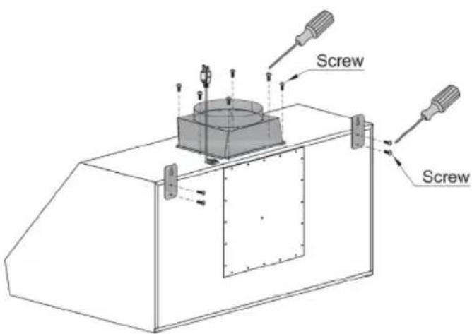 Screw Screw