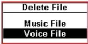 Delete File Music File Voice File