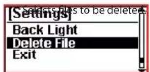 [Settings] Back Light Delete File Exit