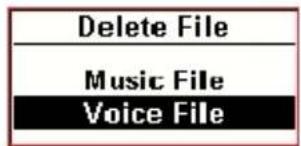Delete File Music File Voice File