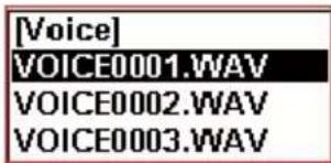 [Voice] VOICE0001.WAV VOICE0002.WAV VOICE0003.WAV
