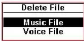 Delete File Music File Voice File