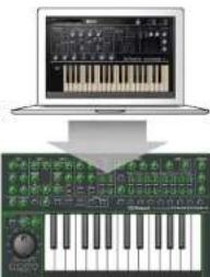 ROLAND PLUG-OUT SH-2 - What is a "Plug-out"? - 1