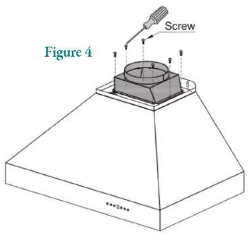 Figure 4 Screw