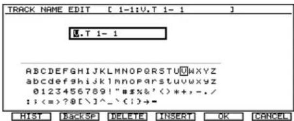 ROLAND VS-2480DVD - Naming - 1