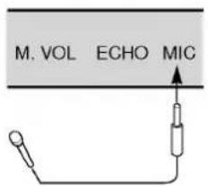 M. VOL ECHO MIC