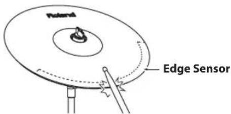 ROLAND TD-4SX - Edge Shot - 1