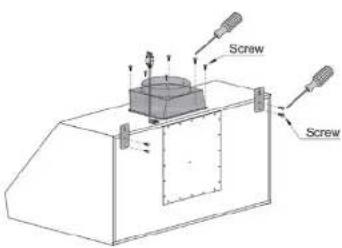 Screw Screw