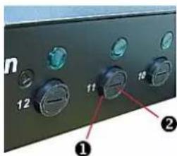 Raritan Dominion PX3-5969U - Fuse Replacement on 1U Models - 1