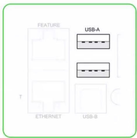 Raritan Dominion PX3-5969U - Disconnected - 1