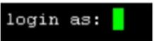 Raritan Dominion PX2-1292R - To log in using SSH or Telnet: - 1
