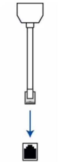 Raritan Dominion PX2-1955 - To connect DPX sensor packages via a Raritan Y cable: - 1