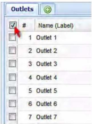 Raritan Dominion PX2-5730 - To turn on or off multiple or all outlets, or cycle their power: - 1