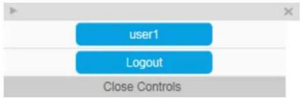 user1 Logout Close Controls