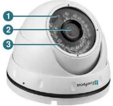 EverFocus EDN288ME - Physical Description - 1
