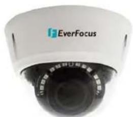 EverFocus EBN468E - Value IP Series Outdoor Network Camera - 2