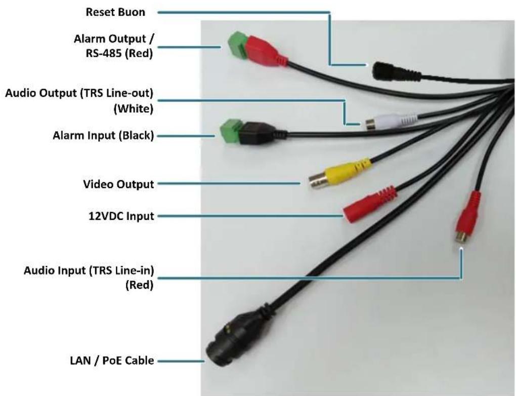 EverFocus EBN368E - Cables - 1