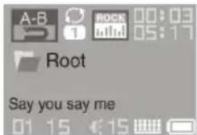 A-B 1 rock 00:03 min 05:17 Root Say you say me 01 15 < 15