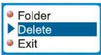Folder Delete Exit