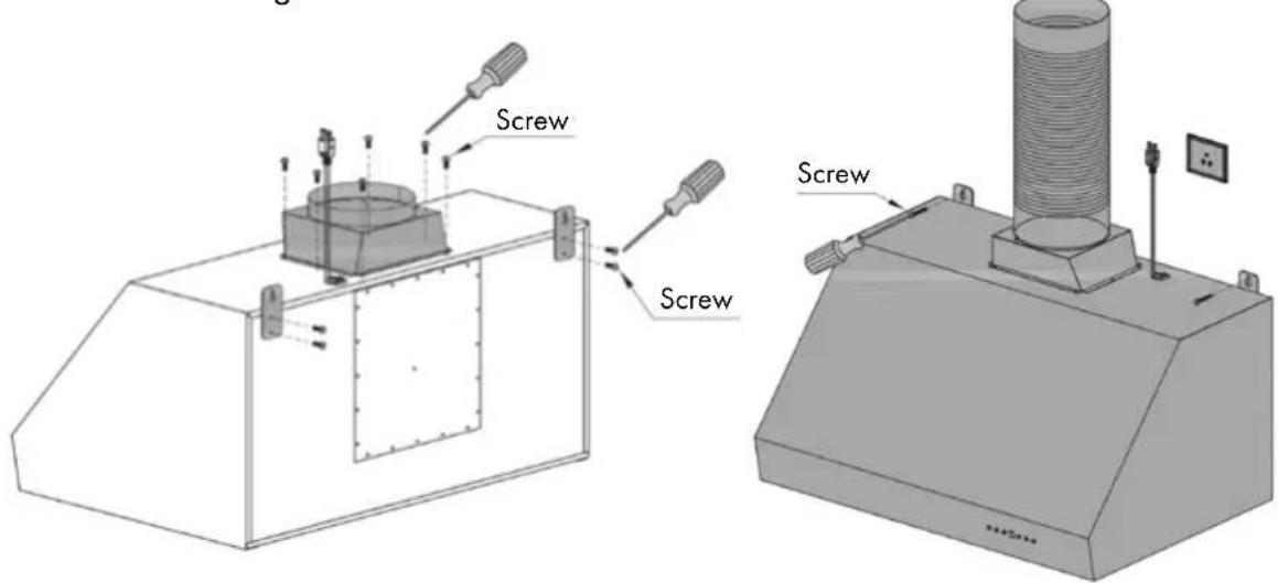 Screw Screw Screw