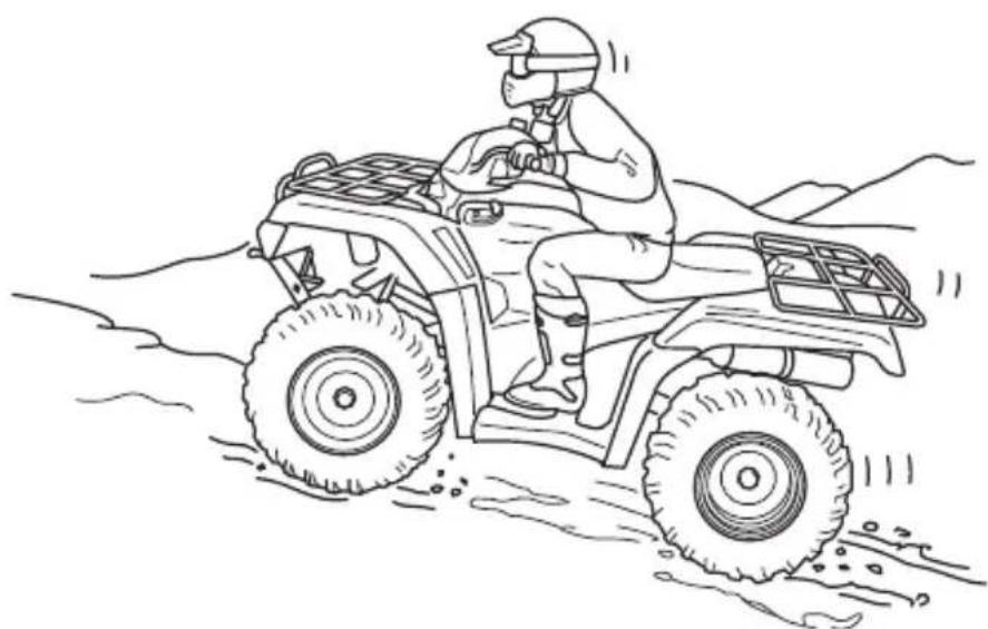 Honda FourTrax Rancher TRX420TE1 (2019) - WARNING - 1