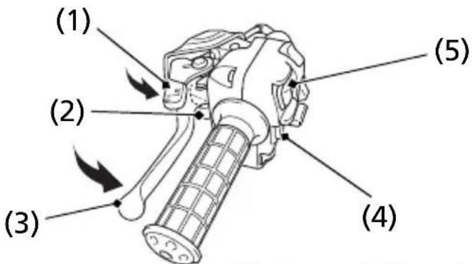 Honda FourTrax Rancher TRX420TE1 (2019) - WARNING - 1
