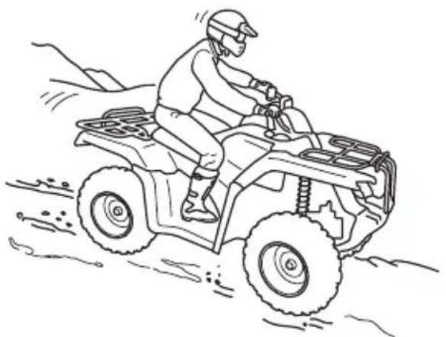 Honda FourTrax Rancher TRX420TE1 (2019) - WARNING - 1