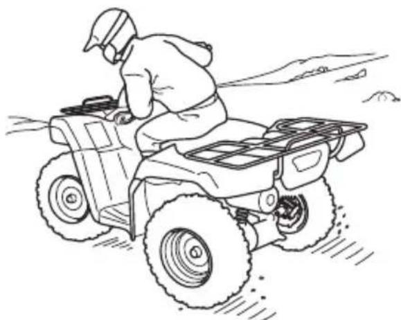 Honda FourTrax Rancher TRX420TE1 (2019) - WARNING - 1
