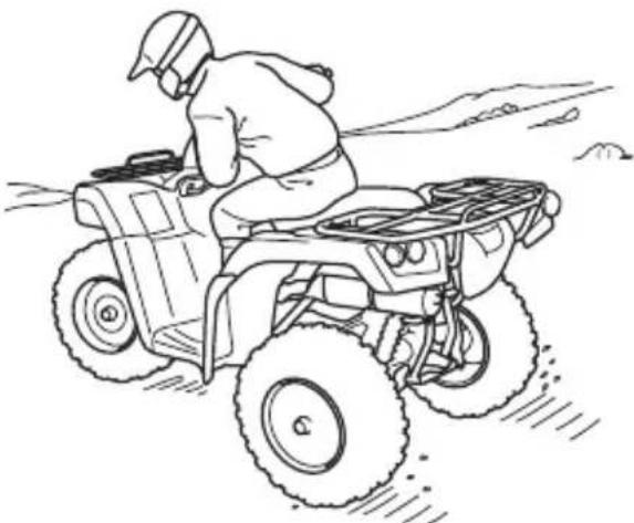 Honda FourTrax Rancher TRX420FA5 (2019) - WARNING - 1