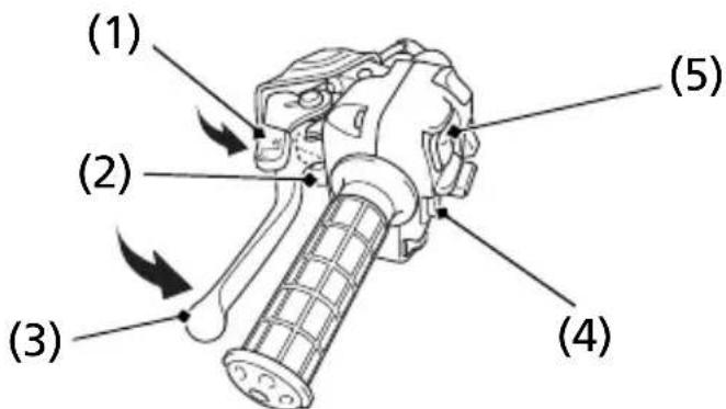Honda FourTrax Rancher TRX420FA5 (2019) - WARNING - 1