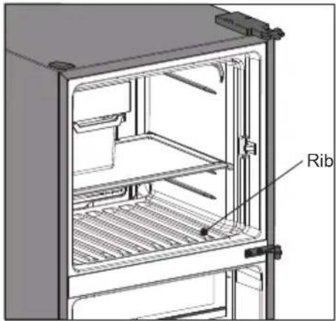 Rib