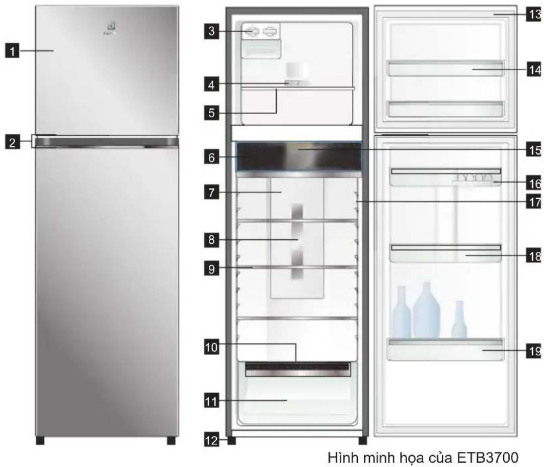 ELECTROLUX ETB3440K-H - CÁC BỘ PHẬN CỦA TỦ LẠNH NGĂN ĐÁ TRÊN - 1
