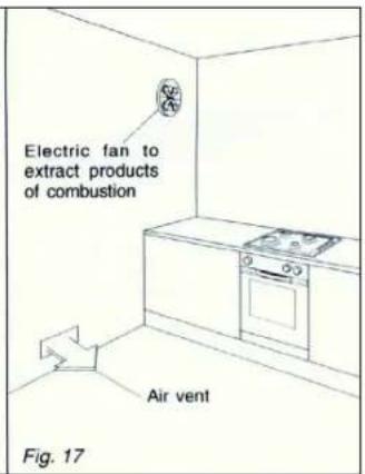 OMEGA OCG64FFETGG - DISCHARGING PRODUCTS OF COMBUSTION - 2