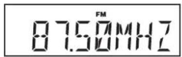 ROBERTS Ecologic 5 - Display modes - FM - 3
