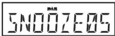 ROBERTS Ecologic 5 - To set the snooze time - 6