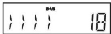 ROBERTS Ecologic 5 - Finding new stations - DAB - 4