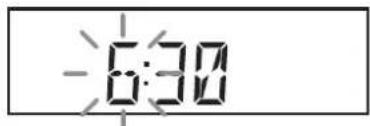 ROBERTS Ecologic 5 - Setting the clock manually - 6