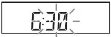 ROBERTS Ecologic 5 - Setting the clock manually - 7