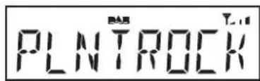 ROBERTS Ecologic 5 - Manual tuning - DAB - 7