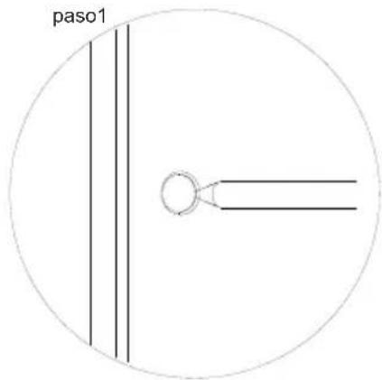 paso1