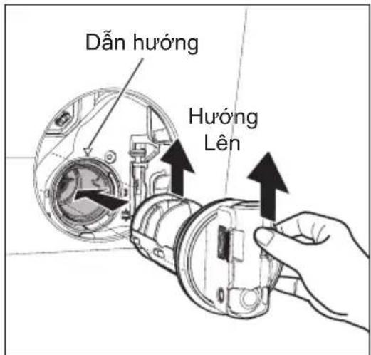 Dẫn hóng Hóng lên